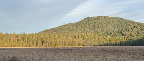 BoggsLakePreserve_Header