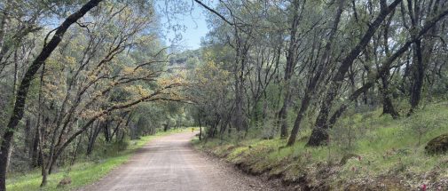 MtKonoctiCountyRoad_Header
