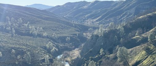 RedBudTrail_Header